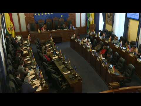 Bolivia's senate votes unanimously to support fresh elections