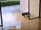 Video-1574530912(1) - Label : L'Est Républicain - Category : Sport