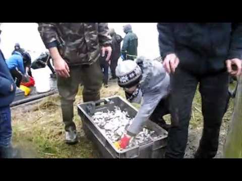 Plus de deux tonnes de poissons ont été pêché à l'étang David