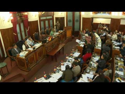 Bolivia's lower house votes unanimously to approve electoral bill