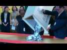 Vote counting begins in Hong King district elections - Label : AFPTV - First images - Category : News