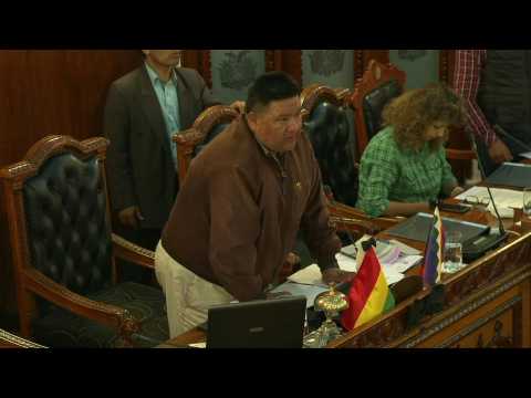 Bolivia's Congress approves law for new elections without Morales