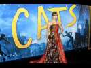 Taylor Swift's felines inspired Rebel Wilson's Cats character