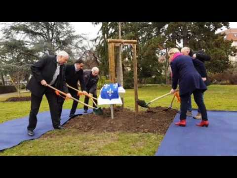Saint-Louis : "2020 arbres pour 2020"