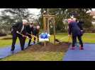 Saint-Louis : "2020 arbres pour 2020"
