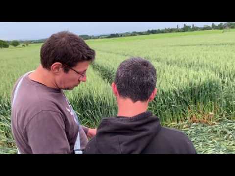 Crop circle, mode d'emploi