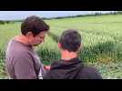 Crop circle, mode d'emploi
