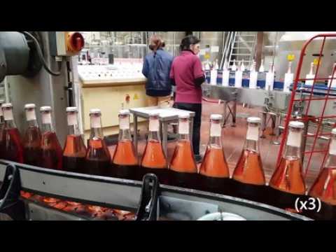 DNA - Processus de mise en bouteille et de "sleevage" du crémant 'ICE' (demi-sec) de Arthur Metz (Marlenheim)