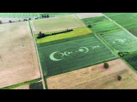 Crop circle à Saint-Hippolyte