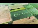 Crop circle à Saint-Hippolyte