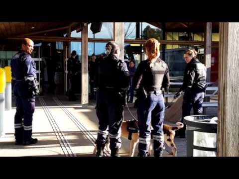 Contrôle coordonné de la gendarmerie et des douanes en gare Meuse TGV