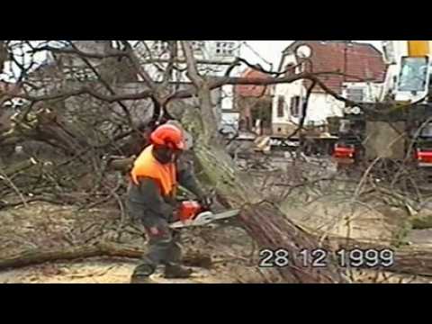 DNA - Images d'archives : Constat des séquelles de la tempête du 26 déc 1999 à Brumath (Ville)