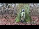 DNA - Images d'archives : Constat des séquelles de la tempête du 26 déc 1999 à Brumath (Forêt)
