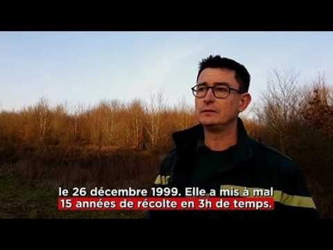 Agent de l'ONF, Jean-Charles Fillion raconte le travail de l'ONF après la tempête de 1999