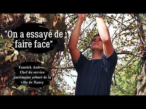 Tempête de 1999 à Nancy : &quot;On  a essayé de faire face&quot;
