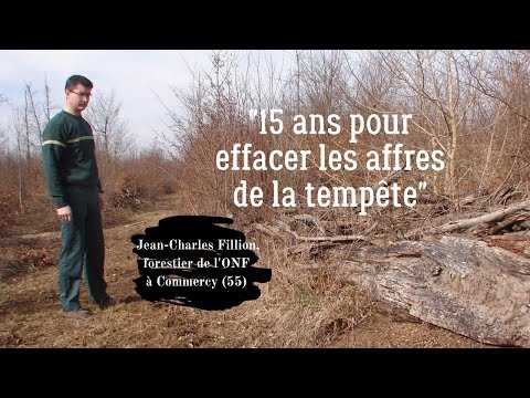 "15 ans pour effacer les affres de la tempête"