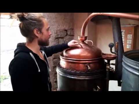 Hilbesheim : la distillation de la mirabelle est lancée