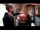 Hilbesheim : la distillation de la mirabelle est lancée