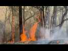 Australian firefighters tackle bushfire - Label : AFPTV - First images - Category : News