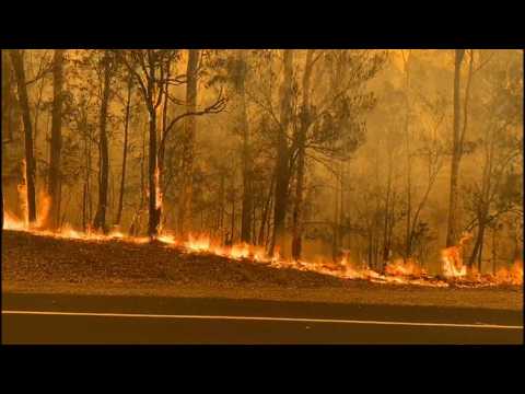 Australia: Firefighters tackle bushfire in Moruya