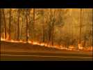 Australia: Firefighters tackle bushfire in Moruya - Label : AFPTV - First images - Category : News