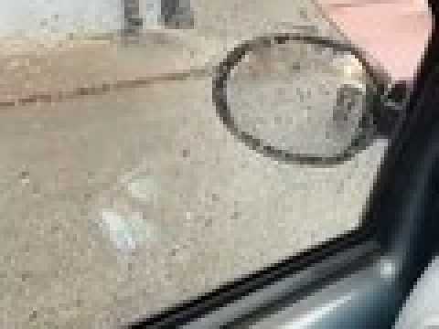 Un sanglier filmé dans les rues Andolsheim