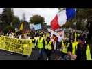 300 personnes les rues de Dole pour la manifestation anniversaire
