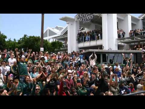 Springbok fans cheer on South Africa in Rugby World Cup final