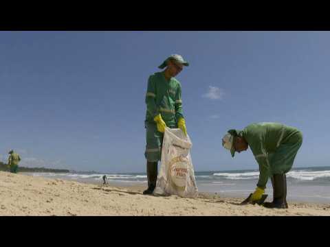 Volunteers and civil servants clean oil spill from Brazilian beach
