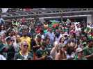 Cape Town fans celebrate S. Africa's Rugby World Cup win