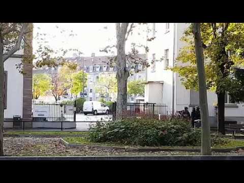 Alerte à la bombe au lycée Roosevelt