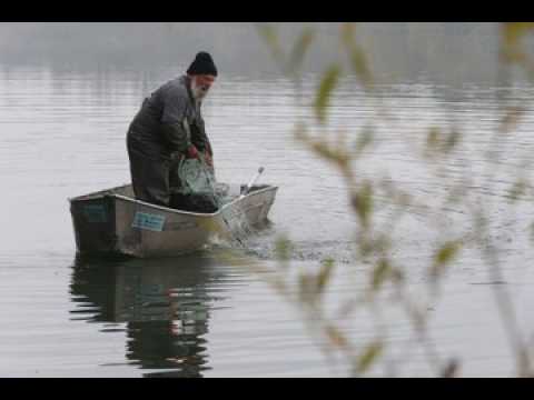 Portrait du Lundi - Adrien Vonarb