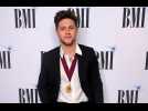 Niall Horan is 'very much single'