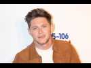 Niall Horan's 'special' song