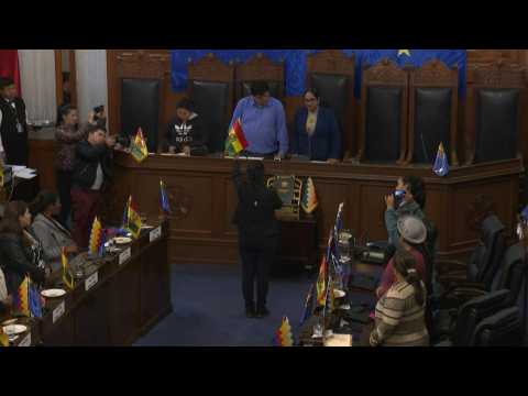 Bolivia: MAS party senator sworn in as Senate president