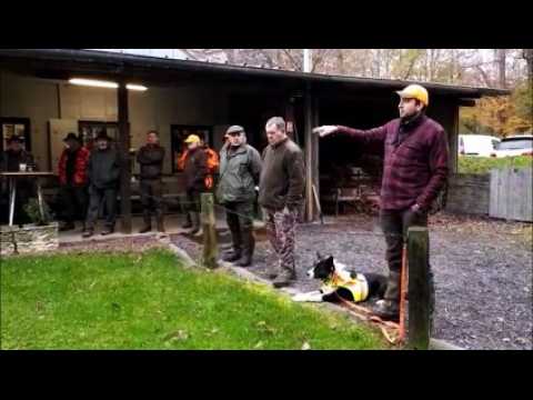 Importante chasse en cours dans la forêt du Buchholz