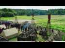 Vidéo Britannia Vidéo Britannia