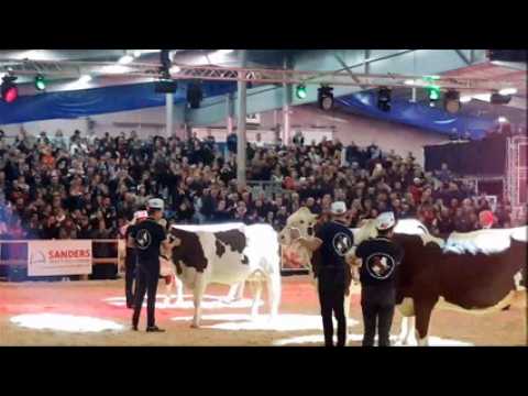 Besançon (25) : Le grand National au bout de la nuit