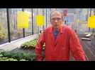Le chameau au secours de la vigne - Label : L'Est Républicain - Category : News