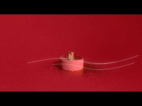 Murat Paris : nos coups de cœur bijoux pour l’automne-hiver 2019-2020