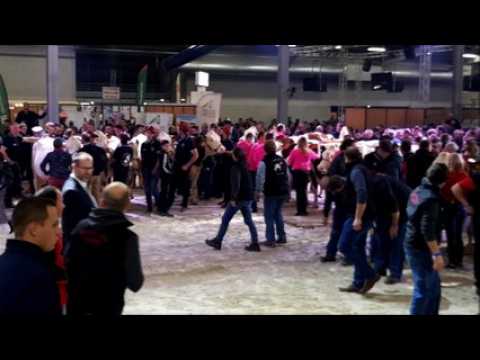 Vache de salon à Besançon (25) : le challenge des territoires Joseph Mamet