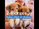 30-nov-et-1er-decembre-2019-bons-plans-loisirs-du-week-end-dans-la-loire-et-la-haute-loire