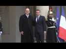 Macron welcomes Monaco's Prince Albert II at the Elysée