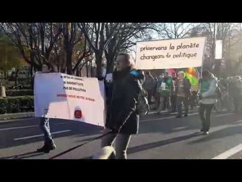 Une cinquantaine de manifestants pour le climat à Colmar
