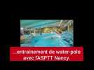 water-polo - ce qui se passe sous l'eau