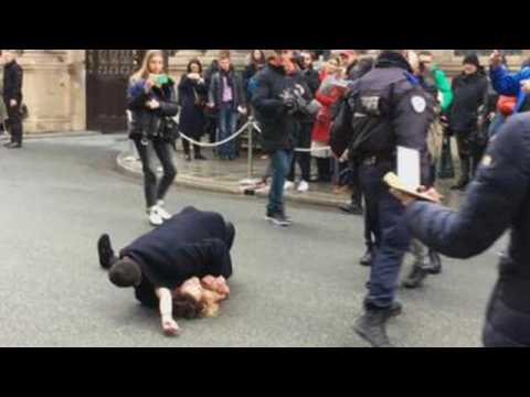 Femen activist arrested in Paris
