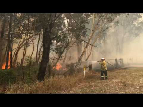 Firefighters battle bushfires outside Sydney