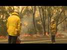 Australia firefighters battle east coast blaze