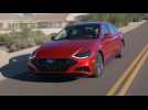 2020 Hyundai Sonata Driving Video