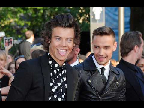 Liam Payne would struggle to chat to Harry Styles